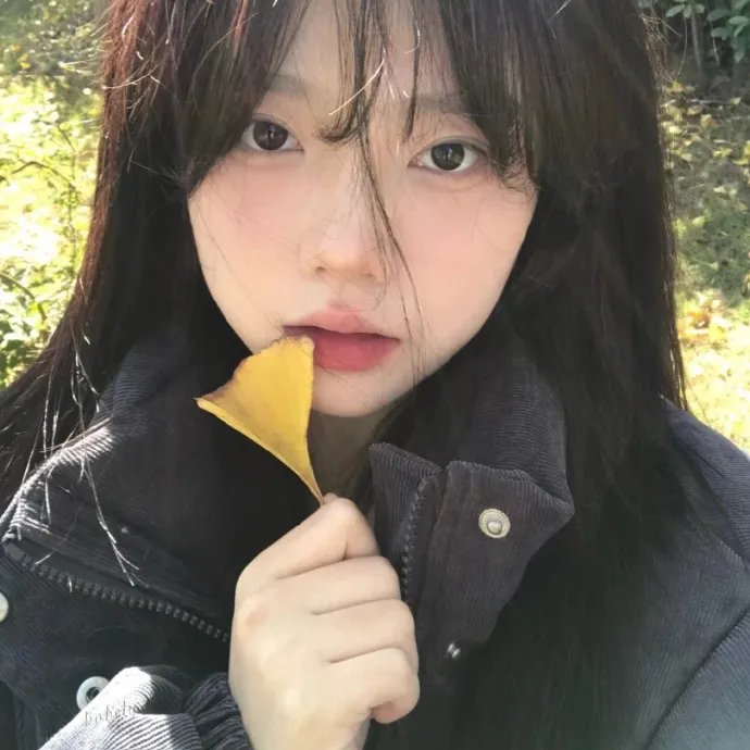 奉子不成婚